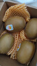 佳沛（zespri）新西兰阳光金果4粒装单果约103-114g 猕猴桃新鲜水果源头直发 实拍图