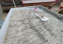 雨虹防水 楼顶屋顶防水补漏材料耐高温防晒 防水涂料屋顶防水 耐磨升级款 实拍图