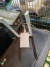 普联（TP-LINK） WiFi6电竞游戏AX3000无线网卡 千兆5G双频台式机笔记本电脑wifi接收器 XDN9000H免驱版 实拍图