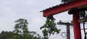 海康威视（HIKVISION）无线摄像头wifi监控套装360度全景400万超清云台旋转手机远程可对讲Y2S4M-W 实拍图