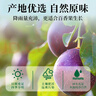 福茗源百香果茶冻干百香果干块可搭金桔柠檬茶泡水罐装养生水果茶150g 实拍图
