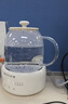 小质养生壶1.2L全玻璃花茶壶0胶水0金属恒温煮茶器办公室热牛奶神器保温壶家用烧水壶电热水壶 YSH13 实拍图
