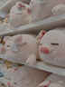 名创优品（MINISO）趣味阿柴弹力超柔趴姿公仔毛绒玩偶儿童玩具抱枕靠枕生日礼物女 实拍图