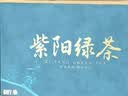 七春2026雨前绿茶叶紫阳毛尖陕西富硒产区茶叶礼盒送长辈250g 实拍图