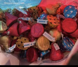 好时Kisses眩彩多口味糖果巧克力 500g *2袋 休闲零食 婚庆喜糖伴手礼 实拍图