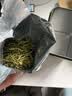 京东京造【2026新茶】明前特级安吉白茶100g绿茶茶叶高品质自己喝自营送礼 实拍图