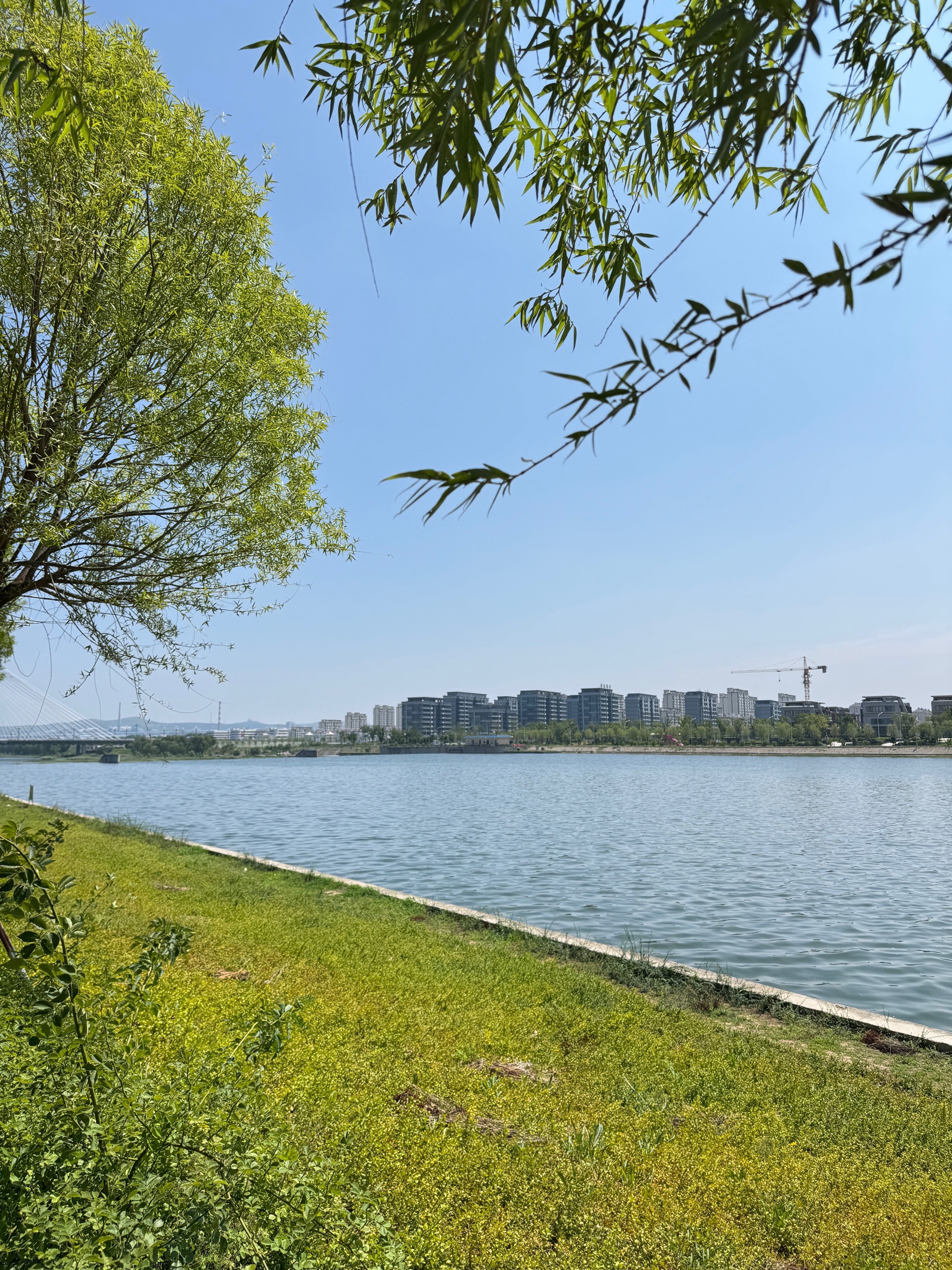 好媳妇清洁刷具 32CM加大硬毛地刷浴室长柄缝隙刷子卫生间刷地洗墙工具 实拍图