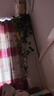 笛莎（DEESHA）女童睡裙夏季薄款纯棉网眼透气小女孩睡衣中大童裙子 粉底松鼠150 实拍图