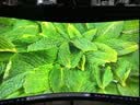 三星（SAMSUNG）37英寸 G75F 4K 165Hz HVA 1000R曲面 HDR600 超薄 护眼认证 玄龙骑士 电竞显示器 LS37FG756ECXXF 实拍图