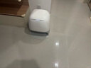 石头（roborock）扫地机器人扫拖一体 P20 扫拖洗烘一体机 自动集尘烘干补水擦地拖地 A1690RR 实拍图