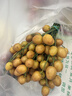 斐乐官方女装连衣裙夏季时尚休闲简约修身短袖连身裙子 正黑色-BK M 165/84A/M 实拍图