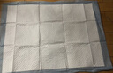 拓宠宠物加厚尿垫狗狗厕所尿片除臭吸水训导尿布猫屎隔尿垫M码50片 实拍图
