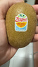 佳沛（zespri）新西兰阳光金奇异果10粒巨大果单果146-175g 猕猴桃水果礼盒 实拍图