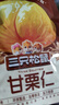 三只松鼠甘栗仁板栗仁去壳栗子即食油板栗仁坚果炒货休闲零食食品节日送礼 【原味】甘栗仁40g*3袋 实拍图