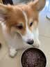 Orijen渴望狗粮 六种鱼 幼犬成犬全价鱼肉美毛进口犬粮11.4kg效期26/12 实拍图