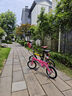 大行（DAHON） 412折叠自行车14英寸单速超轻迷你铝合金学生成人单车BYA412 粉色 实拍图
