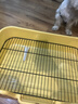 HELLOJOY狗厕所中型小型犬专用防踩屎便盆尿尿盆非不锈钢大小便神器狗砂盆 实拍图