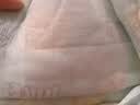 贝拉安徒生sofree牛奶裤夜用蛋黄裤 拉拉裤3XL码40片(12.5-15kg）超薄透气 实拍图