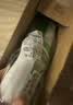 三棵树漆（SKSHU）墙面修补滚筒漆去污神器翻新清洁涂鸦修复防水速干乳胶漆白色500g 实拍图