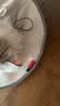猫八万伊丽莎白圈绝育护理项圈猫咪狗狗美容脖圈防舔咬头套脖圈 灰L 实拍图