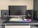 KEFCoda W 新品桌面电脑音响蓝牙高保真2.0立体声有源家用音箱HiFi电视客厅音响 礼物 补贴 森绿 实拍图