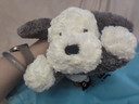 Jellycat唐布利牧羊犬动物毛绒玩偶安抚玩具狗公仔娃娃送礼生日礼物 唐布利牧羊犬 Medium 实拍图