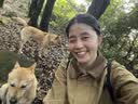 优衣库休闲短茄克女装男装/巴恩风外套夹克483807 484664 483807/33卡其色 XL 实拍图