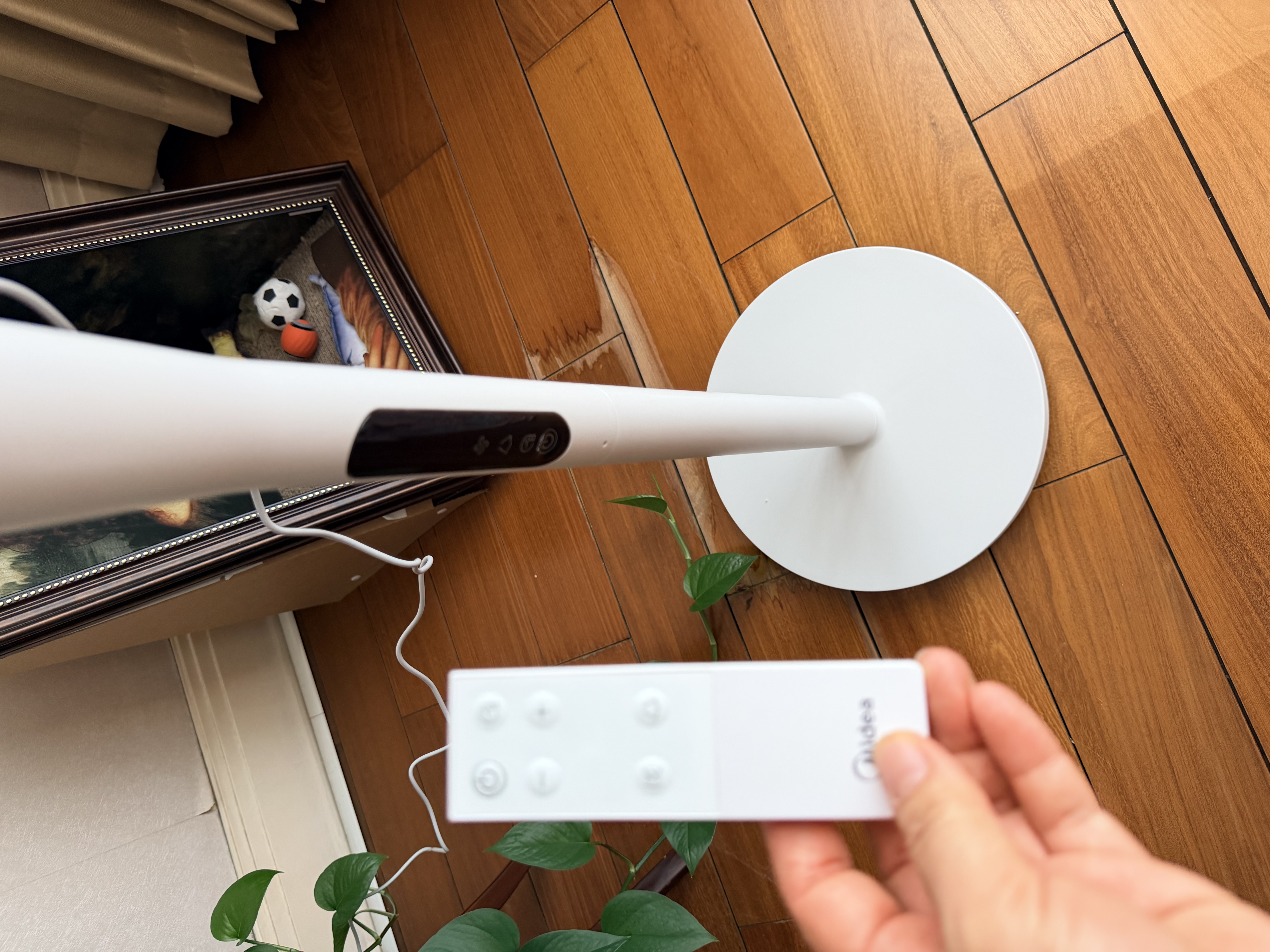 美的（Midea）【变频轻音】空气循环扇家用语音遥控电风扇 一级能效静音落地扇 卧室桌面大风力小风扇 GDJ24SHG 实拍图