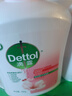 滴露（Dettol）洗手液抑菌消毒滋润500g+500g 补充装 儿童家庭护手替换装 实拍图