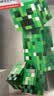 乐高（LEGO）积木我的世界21276 苦力怕男女孩儿童玩具生日礼物家居装饰摆件 实拍图