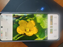 vivo X200 Ultra 12GB+256GB 银调 蔡司三大定焦大师镜头 蓝图自研影像双芯  V单相机 AI手机 实拍图