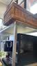 咖啡自由（KAxFREE）A3经典版咖啡机小型家用全自动研磨一体 升级冷萃 AI识豆智萃金杯 一键天鹅绒奶泡 实拍图