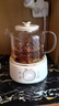 小熊（Bear）全玻璃养生壶 纯玻璃多功能恒温烧水壶 办公室轻音 1L YSH-J10D1带滤网 实拍图