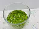 凯卓茶叶绿茶毛尖茶2026新茶明前特级信阳浓香型嫩芽送礼茶叶礼盒500g 实拍图
