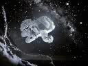 万火星空投影灯小夜灯满天星卧室氛围灯投影仪全屋星空顶高级感星光灯 实拍图