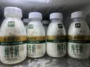 伊利金典3.8g乳蛋白鲜活纯牛奶250ml*8 30天常温短保 礼盒装 实拍图