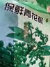 绿食者藤椒新鲜青花椒300g真空保鲜新花椒生麻椒鲜青藤椒鲜花椒 300g 实拍图