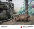 秋田满满鳕鱼猪肉海苔碎45g 高蛋白拌饭料_享婴儿宝宝儿童辅食食谱 实拍图