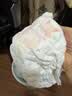 帮宝适（Pampers）一级帮拉拉裤婴儿尿不湿小内裤 L码46片【一级帮拉拉裤】 实拍图