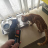 麦富迪猫粮 barf霸弗天然猫粮冻干成猫粮养胃增肌牛肉1.8kg【宠物金选】 实拍图
