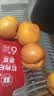 京喜加山东沂蒙山蒙阴黄桃蜜桃时令桃子脆甜多汁当季采摘锦绣黄桃水果 精选好桃【特大果】 【超绝黄桃】2-4枚（净重240-320g） 实拍图
