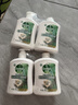 滴露（Dettol）洗手液液体经典松木500g+500g补充装儿童家庭护手替换 实拍图