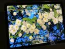 Apple/苹果【教育优惠】iPad 11英寸 A16芯片2025年款 平板电脑 (128GB WLAN版/学习办公娱乐)银色 实拍图