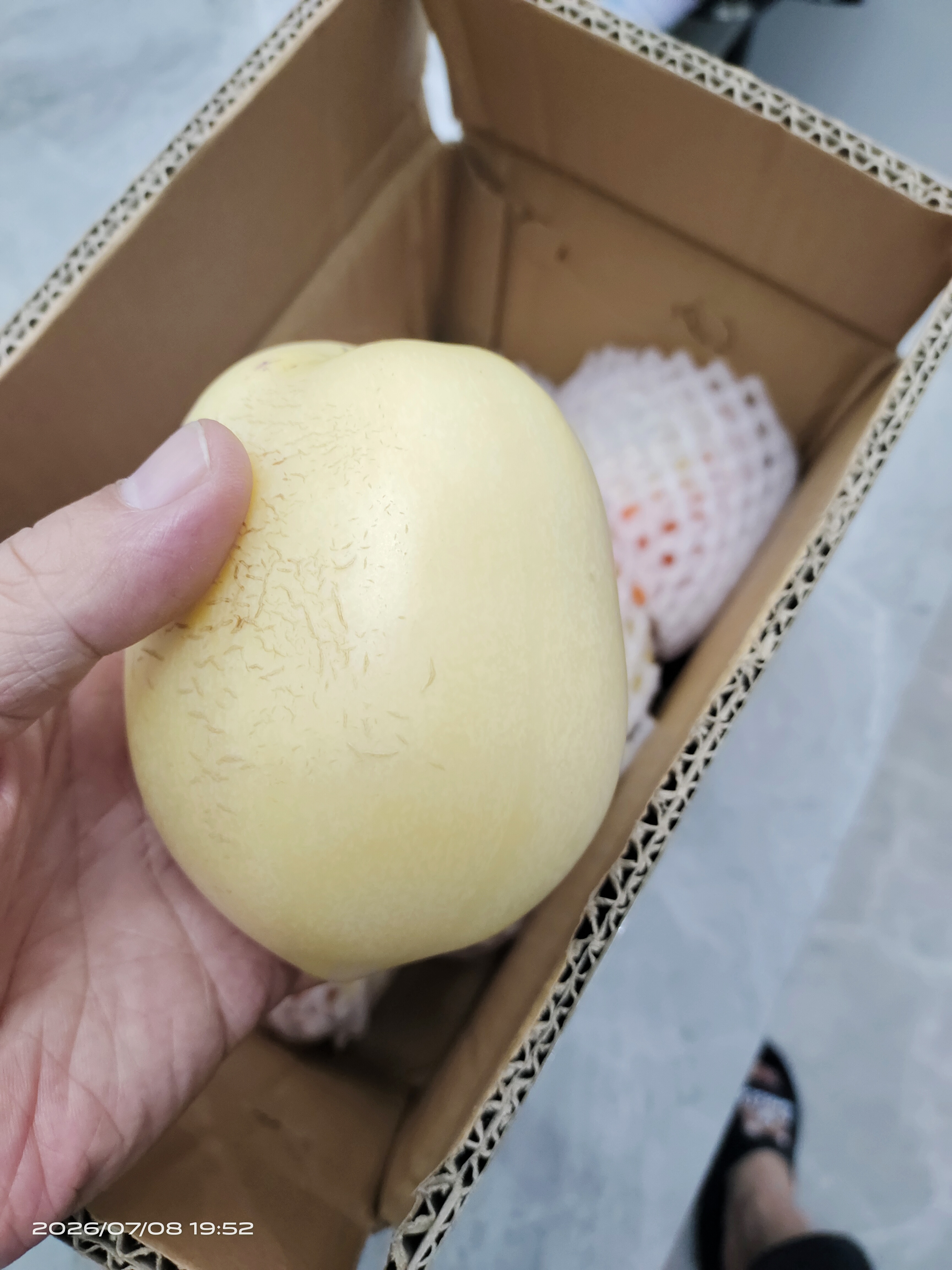 京鲜生 甘肃沙漠人参果 净重3斤 单果150g+生鲜水果源头直发 实拍图