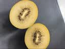 佳沛（zespri）新西兰 阳光金奇异果12粒特大果单果124-146g 猕猴桃水果礼盒 实拍图