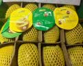 佳沛（zespri）新西兰 阳光金奇异果12粒特大果单果124-146g 猕猴桃水果礼盒 实拍图