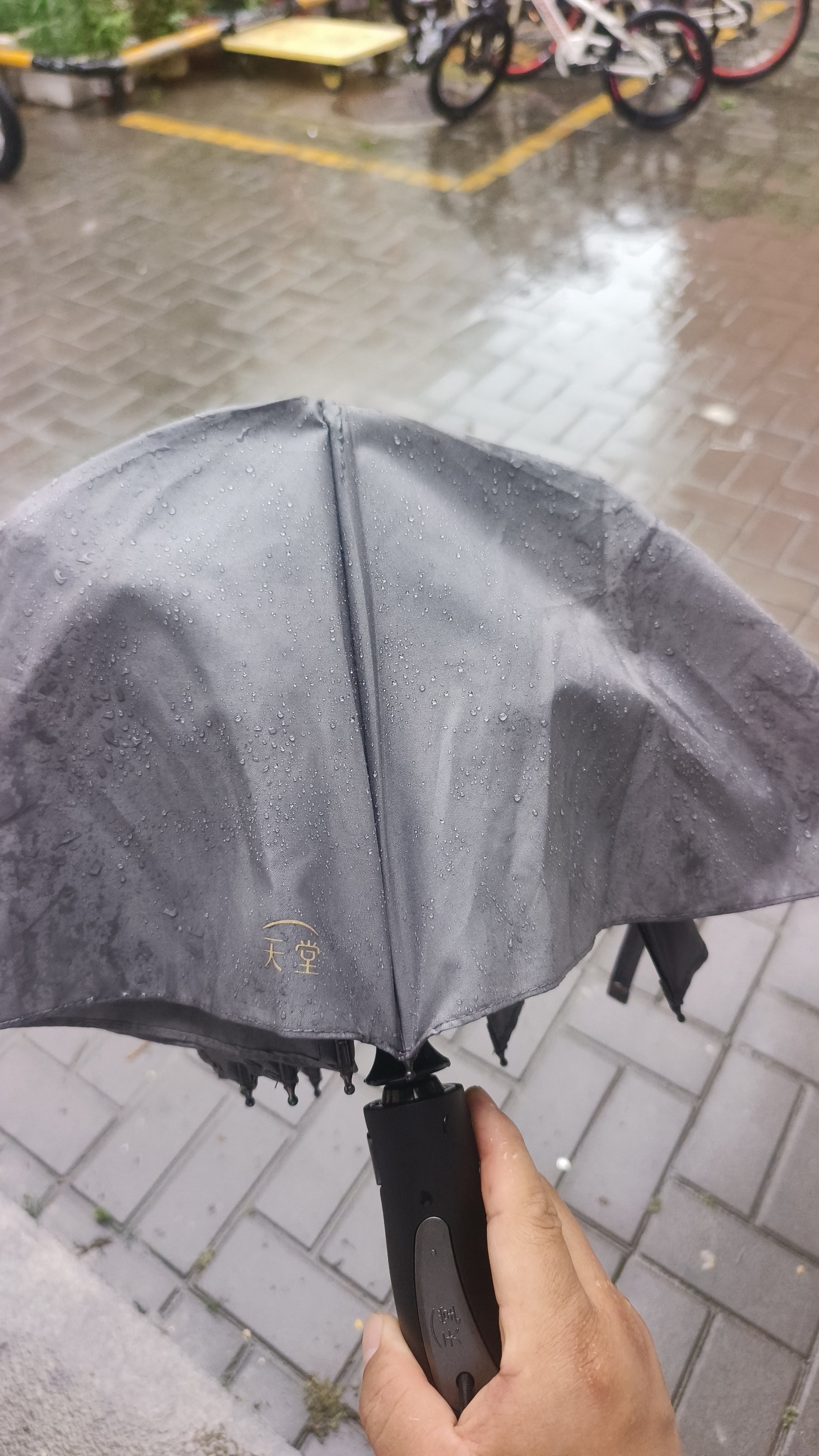 天堂伞 全自动雨伞三折 10骨加固一键开收易甩干简约商务自动伞 天际灰 实拍图
