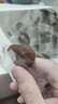 良品铺子陈皮甘草杏干252g水果果干甘草杏肉干果脯蜜饯杏子办公室休闲零食 实拍图