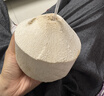 佳农泰国进口椰青 2粒单果900g+ 赠开椰器吸管 源头直发 生鲜水果 实拍图