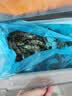 鲜京采 鲜冻大号黑虎虾 去冰净重2斤 31-40只/盒 斑节对虾 实拍图